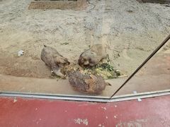 -北戴河集发农业梦想王国