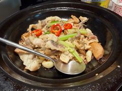 -谭厨中山传家菜.乳鸽.脆鲩鱼(华强北中航城店)