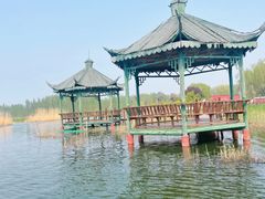 -白洋淀景区