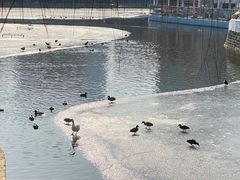-团结湖公园