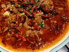 水煮牛肉-庆合府重庆大排档(紫都城店)