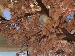 -桂满隴·站立的杭州(无锡八佰伴店)