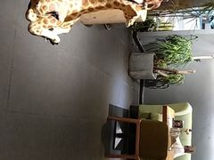 -半悦牛排(龙湖西宸天街店)