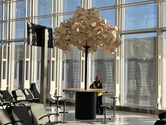 -纽瓦克自由国际机场