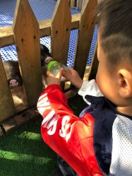 -萌宠亲子动物乐园(槐房万达店)