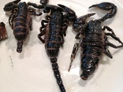 -山泉公馆酒家(广州东站店)