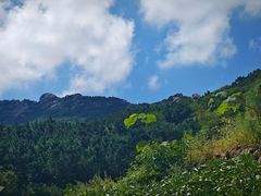-灵山岛风景区