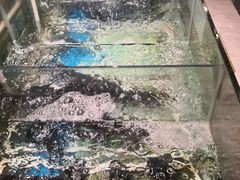 -营信刘罗锅铁锅炖(建华店)