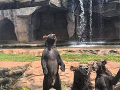 -海南热带野生动植物园