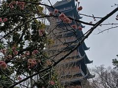 -常熟方塔园