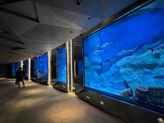 -渔火·特色餐厅(佘山世茂洲际酒店)