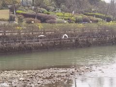 -府河摄影公园