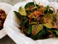 折耳根-成都驻京办餐厅(蜀都宾馆店)