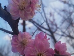 -滨湖塘西河公园
