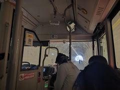 -王顺山国家森林公园
