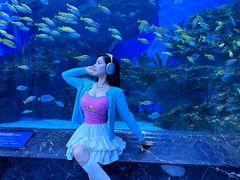 -海合安成都极地海洋公园