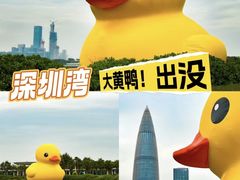 -深圳人才公园