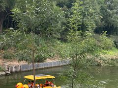 -大兴滨河森林公园