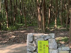-同里国家湿地公园