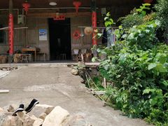 -林坑古村落