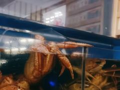 -蟹田居·活蟹料理(东城店)