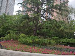 -迎泽公园