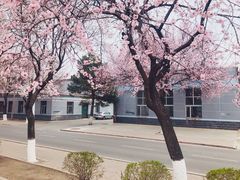 -吉林大学(南岭校区)