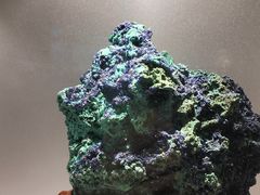 -甘肃地质博物馆