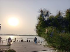 -丁香湖公园