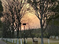 -蠡湖大桥公园