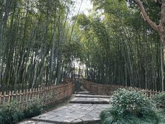 -乌镇东栅景区