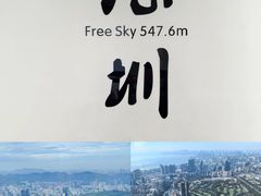 -平安金融中心云际观光层