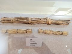 -汉长城遗址