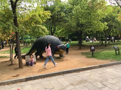 -中国西峡恐龙遗迹园