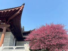 -浙江大学(紫金港校区)