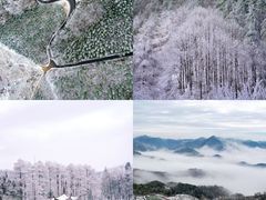 -四明山国家森林公园