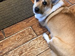 -阿木舂记·特色小吃(平江路店)