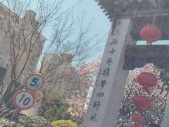 -三林塘老街