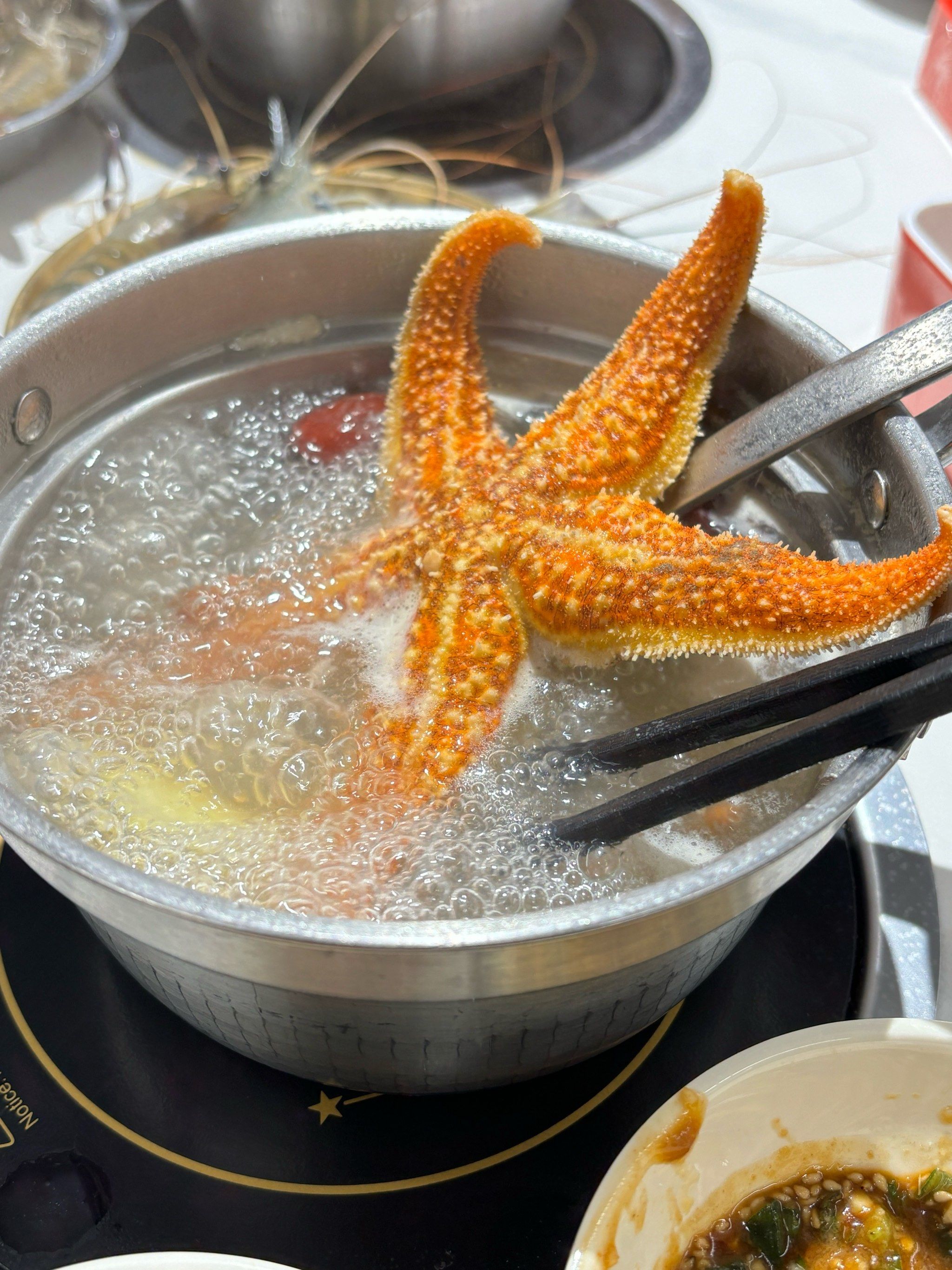 海星怎么有点苦