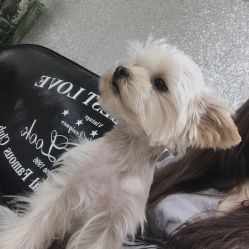 -LEILEI NAIL蕾蕾美甲美睫