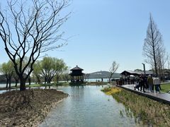 -渤公岛生态公园