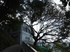 -大澳