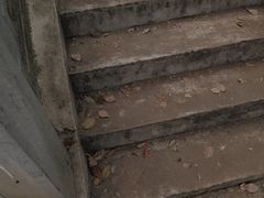 -长沙市青少年宫