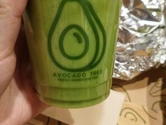 -油梨树AVOCADO TREE(嘉里中心店)