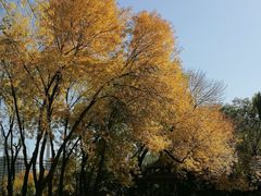 -玲珑塔公园