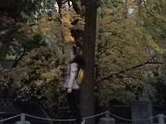 -青岛崂山太清宫
