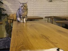 -平行世界·猫咖(首经贸店)