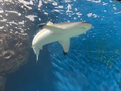 -福州罗源湾海洋世界旅游区