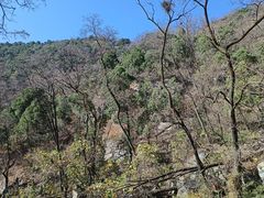 -泰山风景名胜区