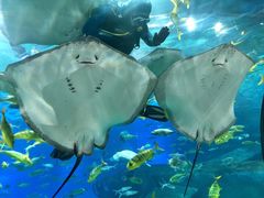 -福州罗源湾海洋世界旅游区